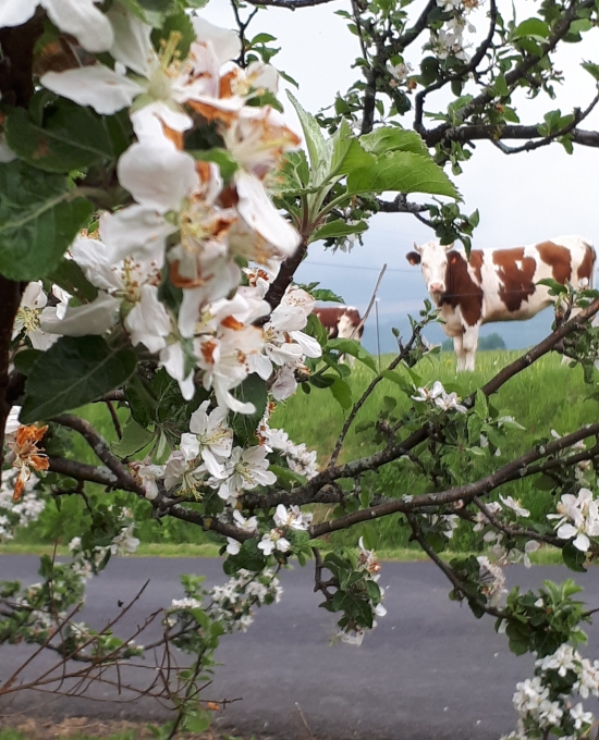 Crédit photo : Sophie MICHAUX