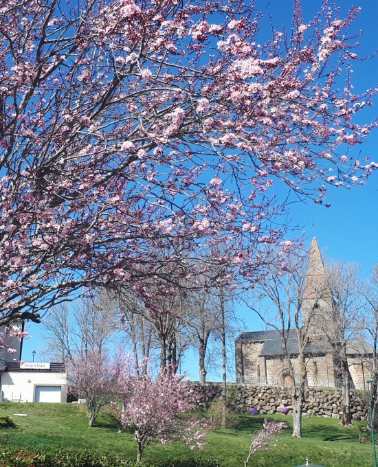 Crédit photo Sophie MICHAUX