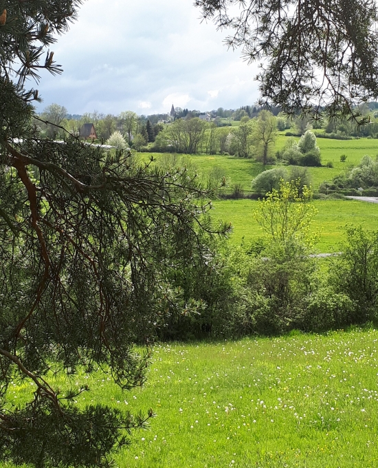 Crédit photo Sophie MICHAUX