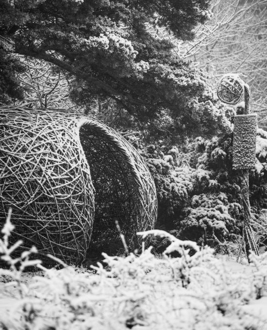crédit photo Gaël Méténier - décembre 2024